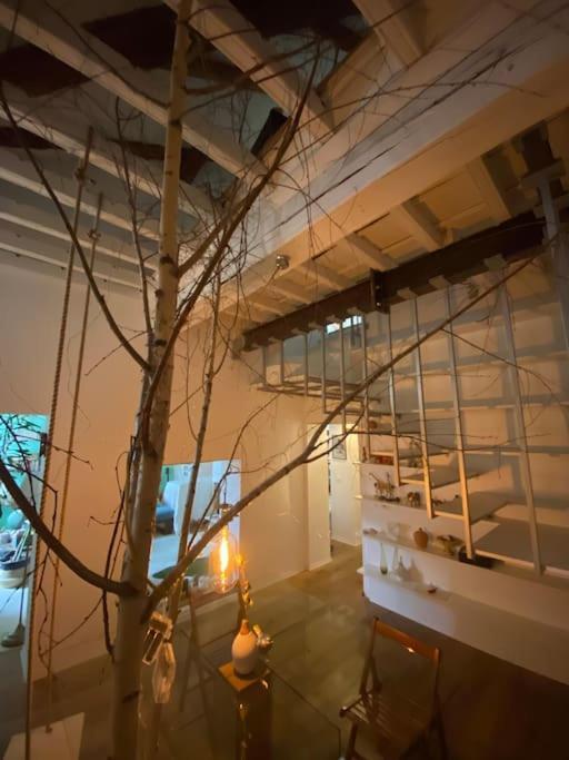 Casa Degli Alberi Διαμέρισμα Τορίνο Εξωτερικό φωτογραφία