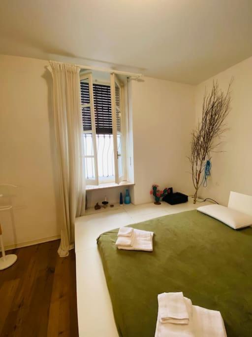 Casa Degli Alberi Διαμέρισμα Τορίνο Εξωτερικό φωτογραφία