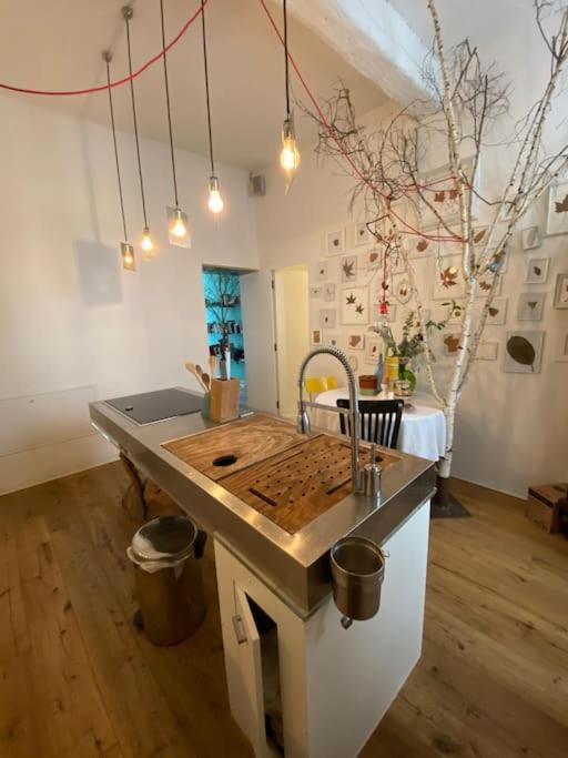 Casa Degli Alberi Διαμέρισμα Τορίνο Εξωτερικό φωτογραφία