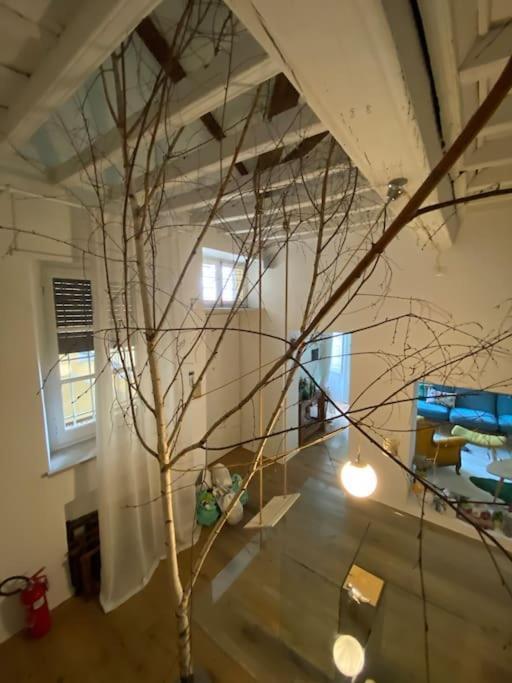 Casa Degli Alberi Διαμέρισμα Τορίνο Εξωτερικό φωτογραφία